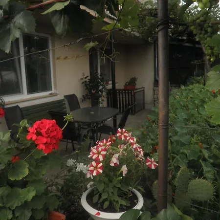 Apartments Hrusovany Nad Jevisovkou Apartament Hrusovany nad Jevisovkou